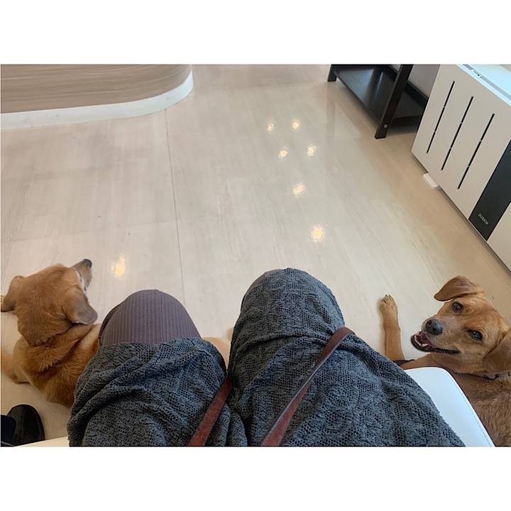 E2503dcc 3c99 454b 8cf1 4d311f7b6902 1620100882425