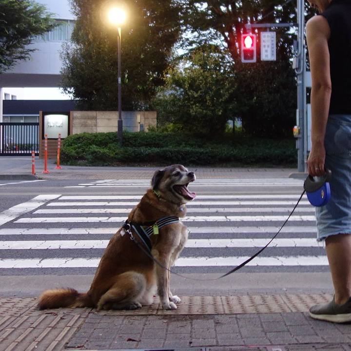 E2504916 6c17 49ca be82 bbaeb2b6d7fb 1531062333597