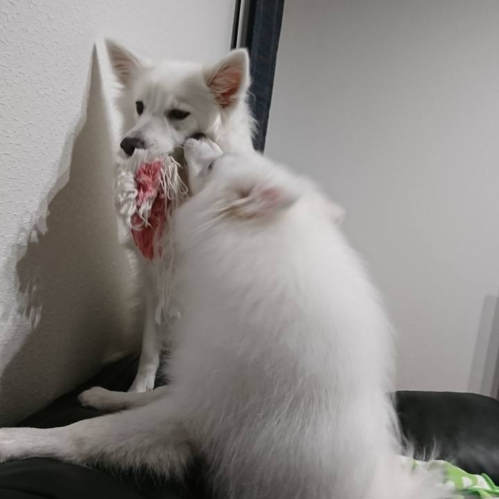 E25054f1 4a12 4d4b 8ce0 128bde75d55d 1552824495523