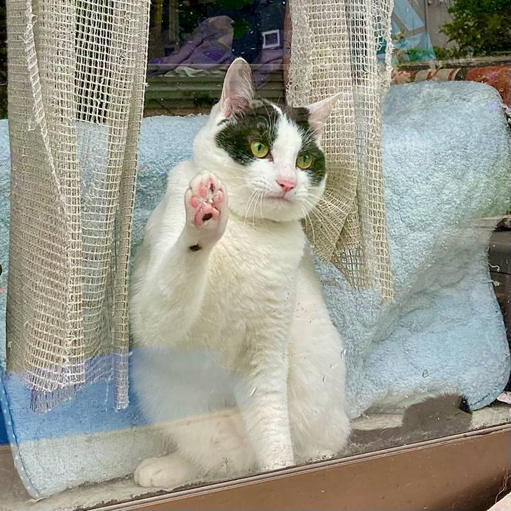 E2508358 b231 4642 8543 f0f95253f641 1654393269066