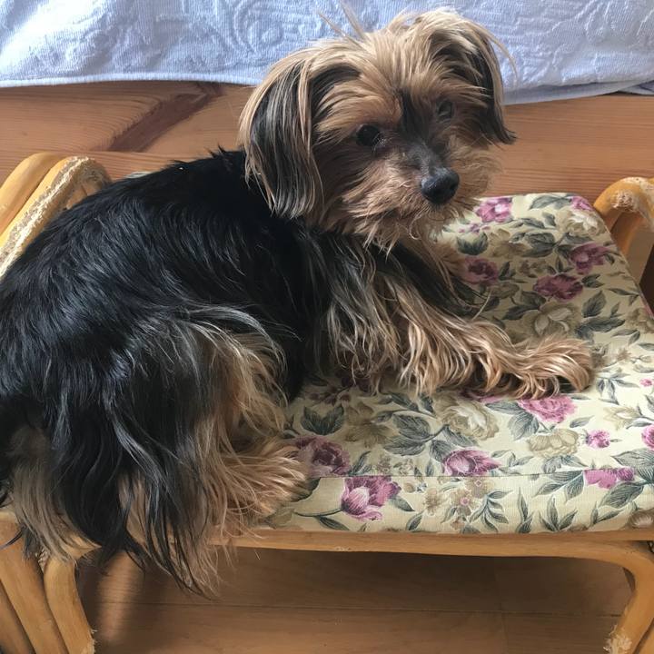 E250c838 cedb 4a2e be32 03d59d24f27a 1527063583862