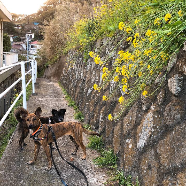 E250d6ec 9759 490d b8fd 882dd4ce160e 1584452729714