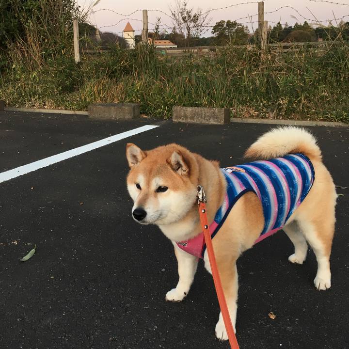 E250dbf4 ae72 4f7a b9f6 c9ba25aeb386 1573919288612