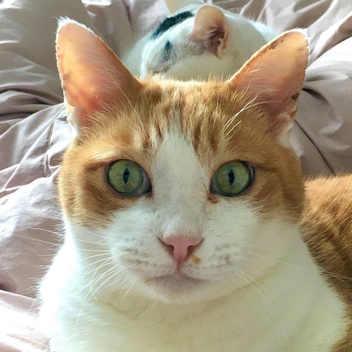 E251186f 11da 4111 b1e8 cdee3068e3ca 1608523676752