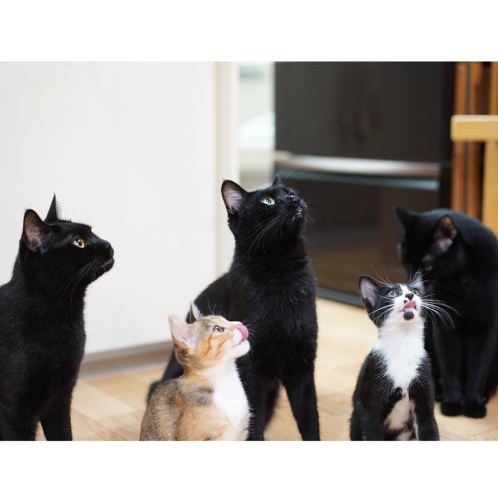 E2513bb9 9bf9 407a 9d77 37ce652a5988 1569767620319