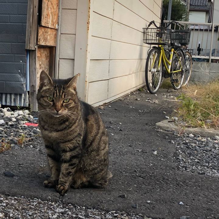 E2518e18 9f7d 425e baf5 8bd81e49c776 1575204559241