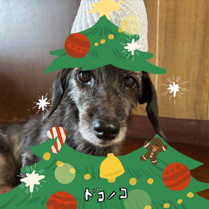 E25203a5 d009 47e8 a8df 0075896c7ea0 1761865944366