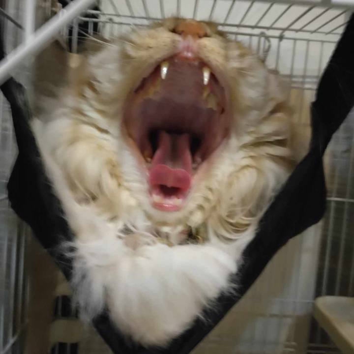 E2520a76 adf3 4a9c 9a08 f054171ccb41 1713442522181