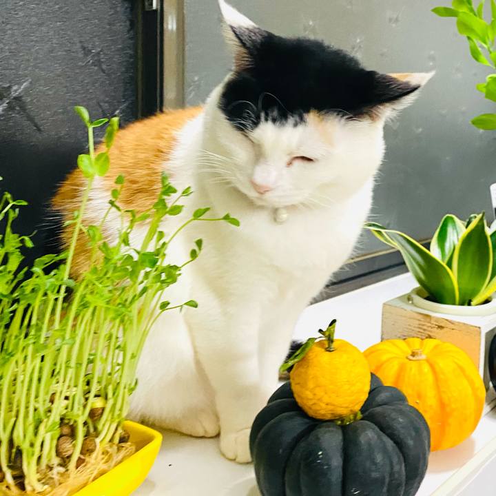 E2521def c3bd 4ff1 91d6 5650a170c403 1674949298750