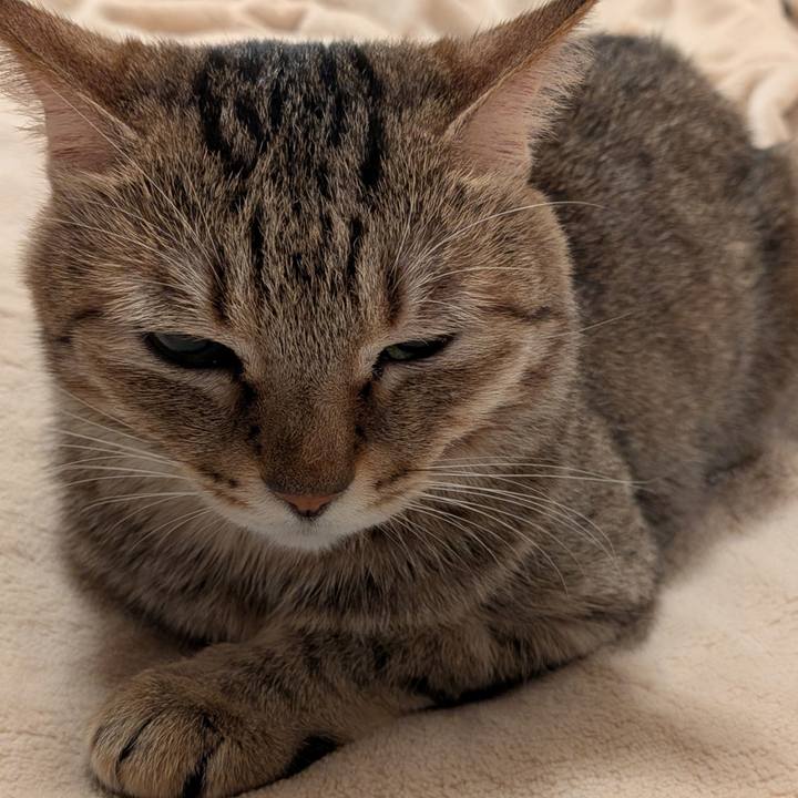 E252342a dbd9 4567 ae4d b99f70701fde 1762813679451