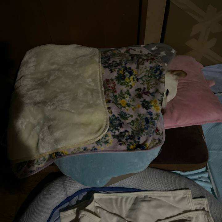 E25273df a3c9 428d 8335 6baf12f150fc 1647191894941