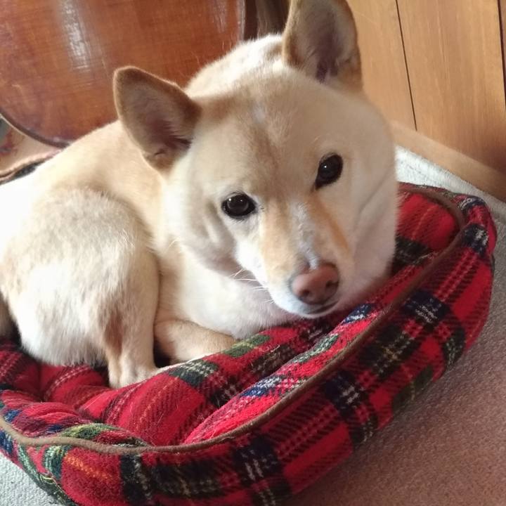 E2528260 3a45 4a70 bf4d dfec0fda0bd9 1590020580859