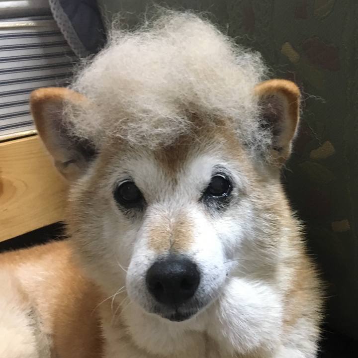 E252a515 707f 4475 82f6 03f1a714c2ba 1510435505367