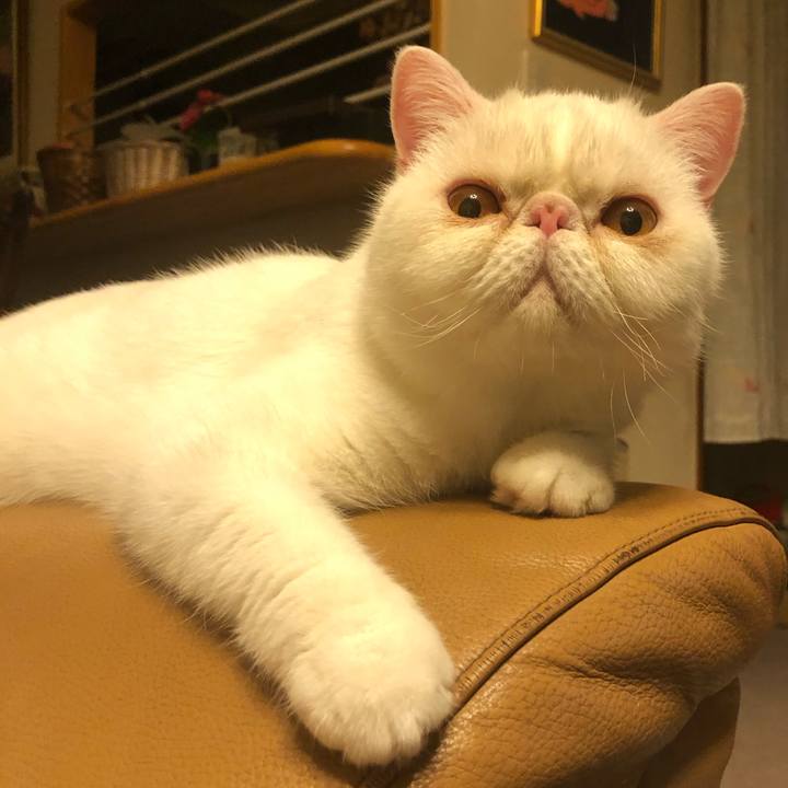 E252a531 3ff5 4a44 91ce 5e4d8ec6c989 1599312309285