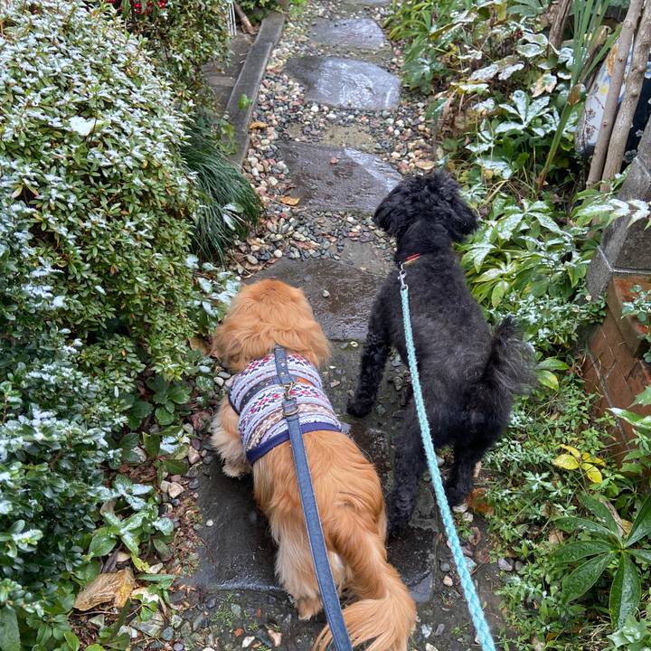 E252c65d 2fc2 4c21 bfef c29a6ab5c601 1640566738114