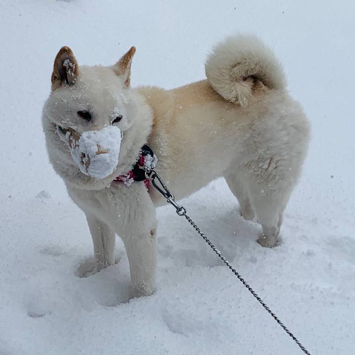 E252f98b 5d6a 46c5 b5e7 8e6db1e89db5 1573953961916