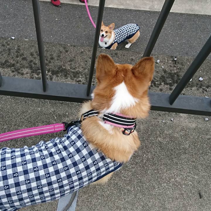 E253190b a435 442f a63b d08bfdb15818 1537787548734