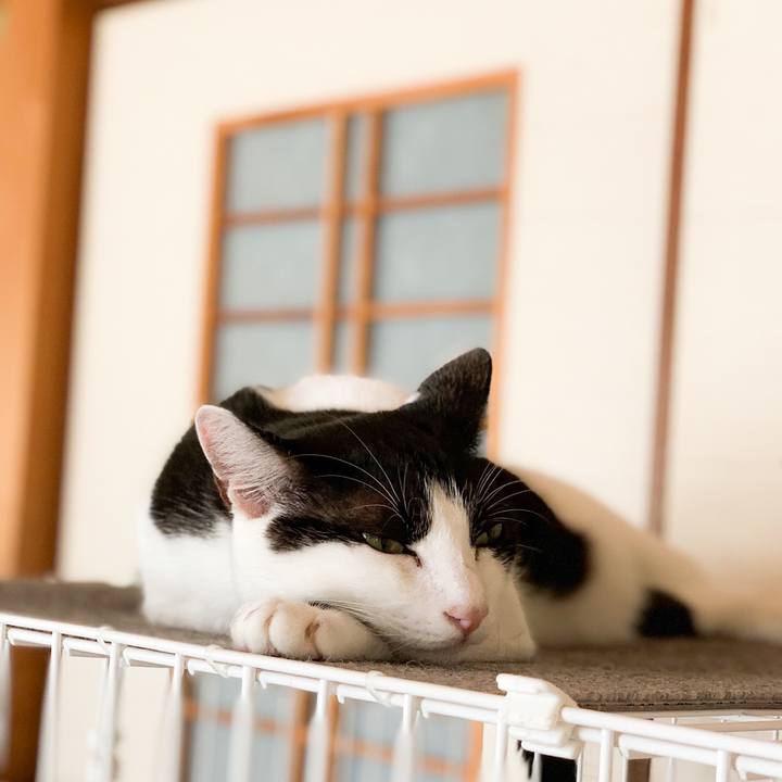 E2533809 ed40 4dc0 836e 2afe132224f1 1570933223022