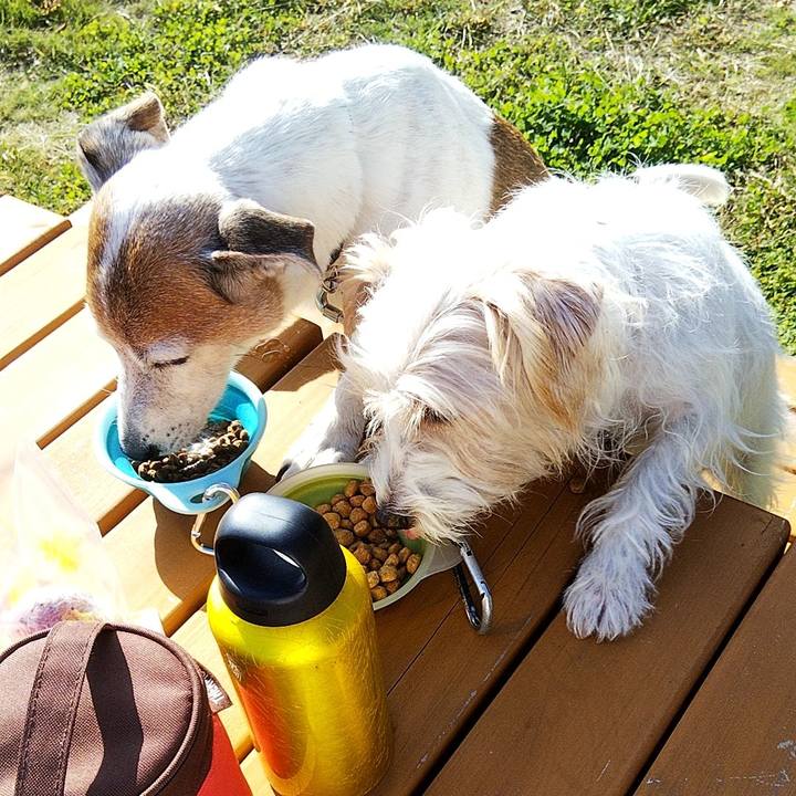 E253392e 0901 4100 bb08 bc1169d1b318 1573355770945