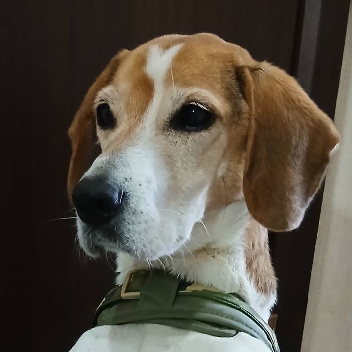 E253419d 8170 4753 ac64 d9908851d256 1767756466790