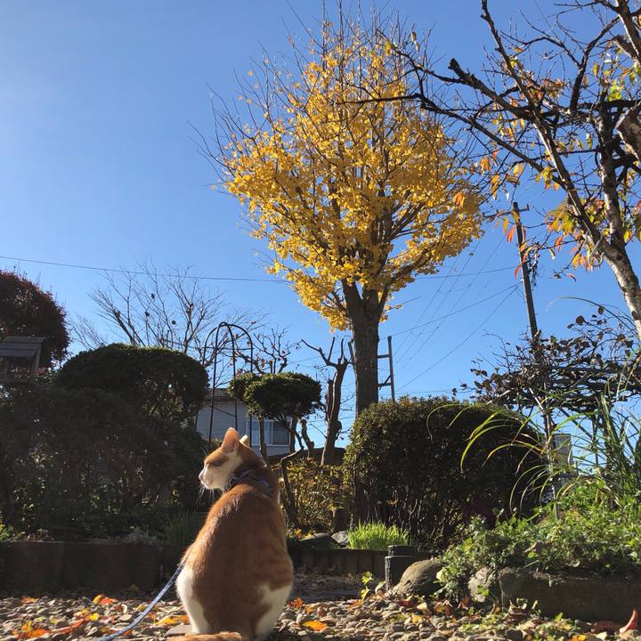 E25353e6 1bbb 4187 9645 afd8bf74d987 1542157558980