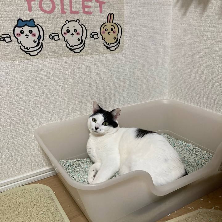 E2536869 d901 4e36 a4a2 dbb64c2f0c00 1770904583718