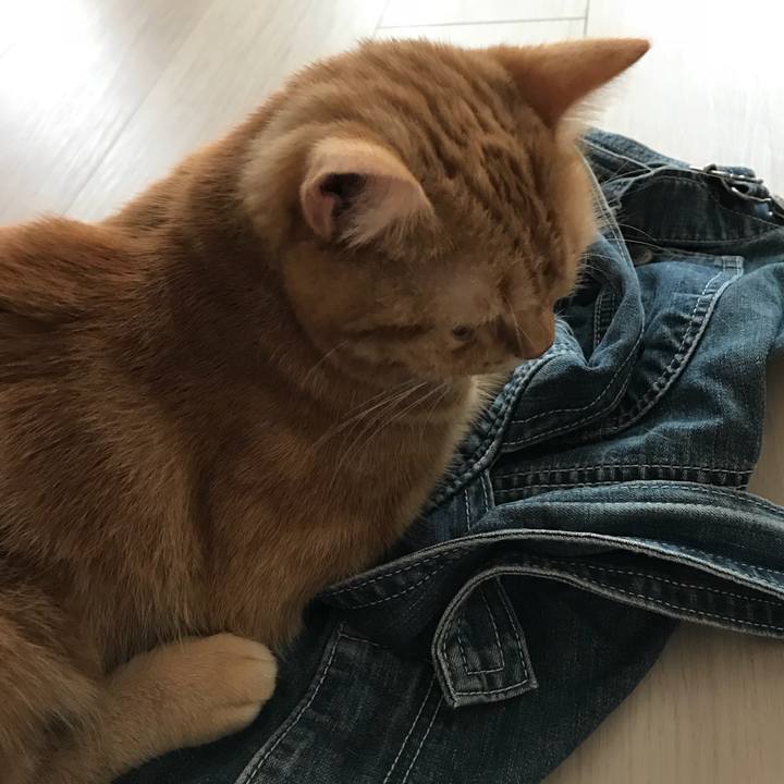 E2536a27 70e7 4962 859f 0fa76234283f 1537667888351