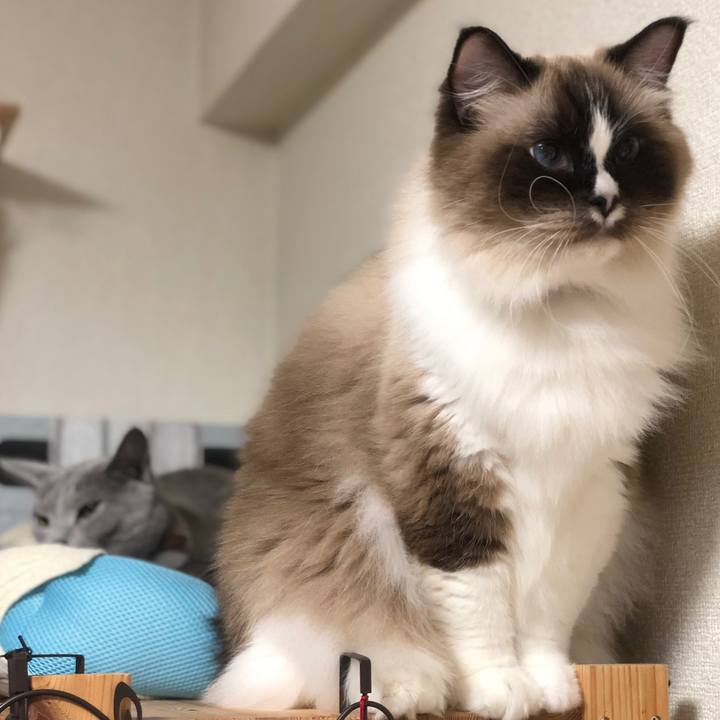 E253834a 0415 42a5 bb69 fb1c544a47fd 1544001025544