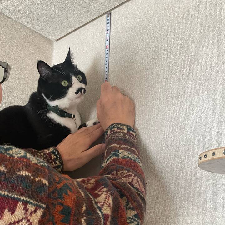 E25390cf 2f15 41d6 8f0b f96fcf213fd5 1736753116117