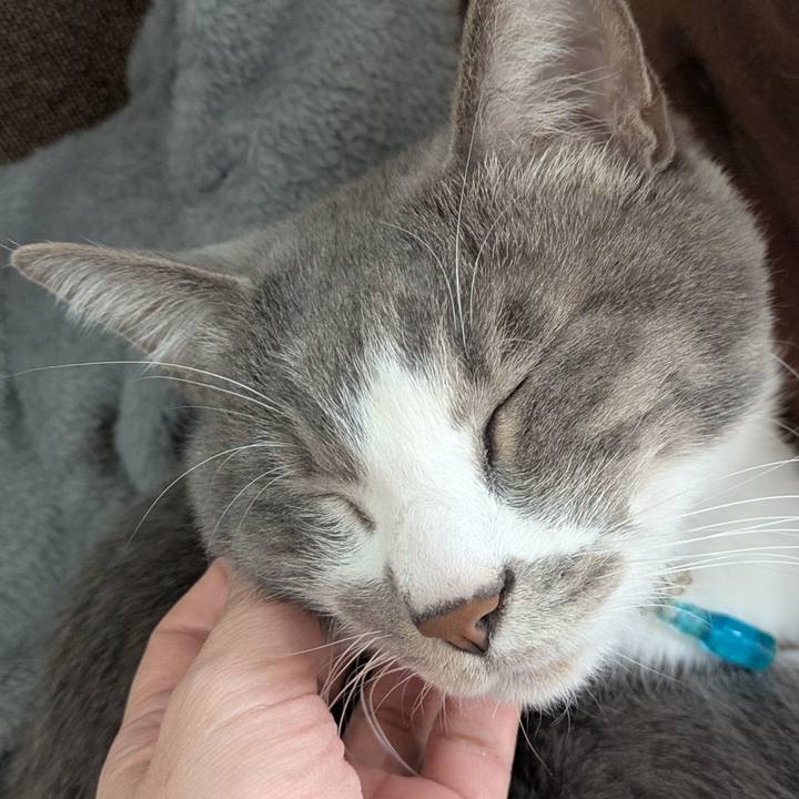 E253dd16 dad7 4a67 b12b cb3abc5431a6 1738820904513