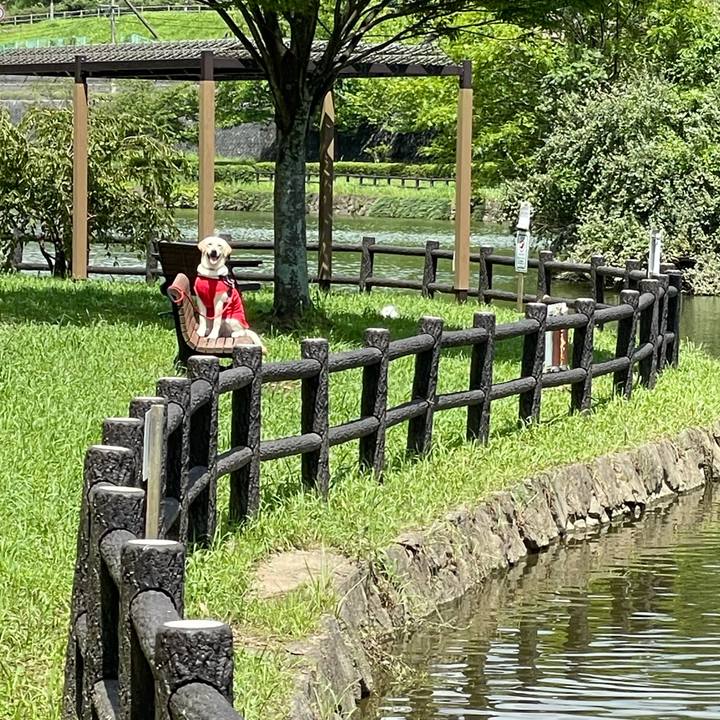 E253e181 e3e1 4aaf 9354 8a5256e3d75d 1629354200779