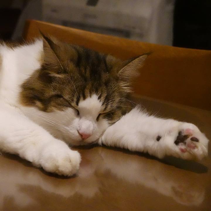 E253e1ad 9194 4450 b7ca ef4d434d4f71 1596467002598