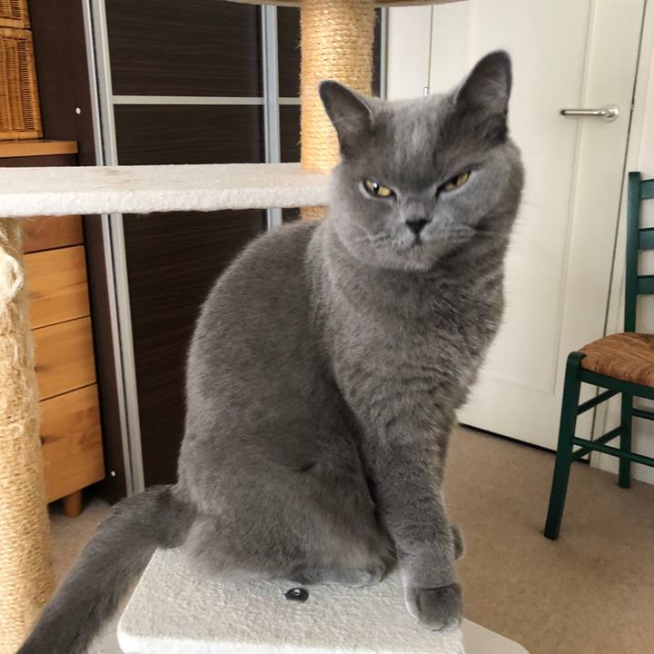 E253ef21 c589 4f8b a124 c4ae19c4cc9c 1544317238250