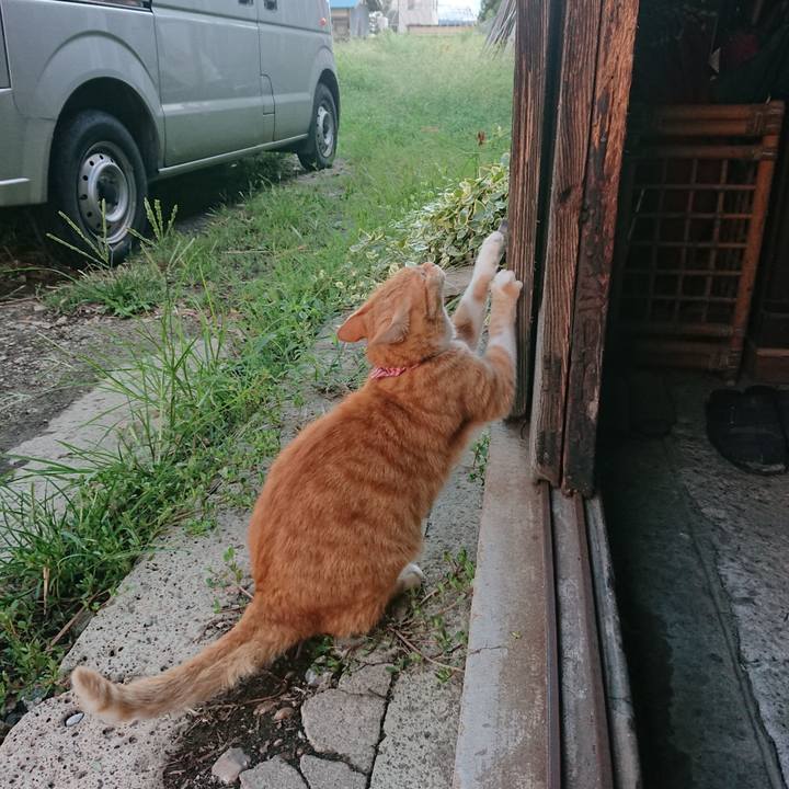 E253f326 9ce3 4ff7 b87a 2b242a960be7 1600073489073