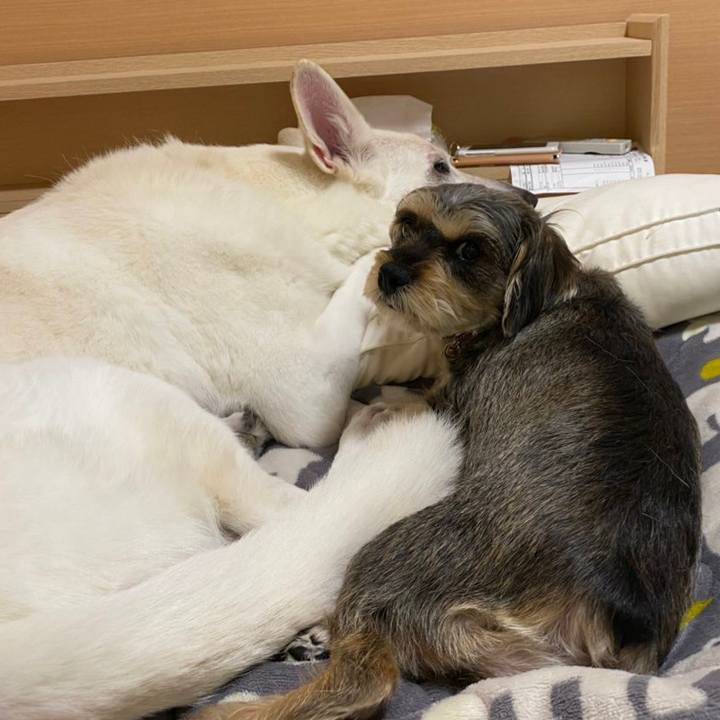 E2540a4c d79f 4a4f afda b803a0514952 1585021894776