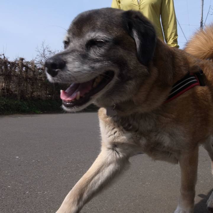 E2543a3d eb4b 420d a914 9e160e601fe2 1601426958307