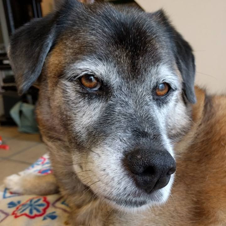 E254574c 5f07 4d5f 8233 4c77015c62fe 1539995051977