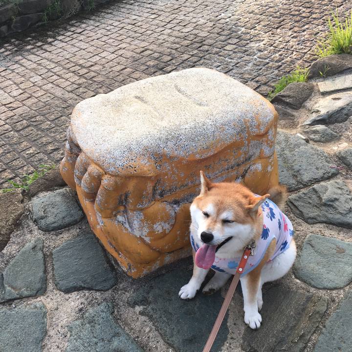 E254c87d 2a99 4c36 9237 29de96d7414d 1566081735294