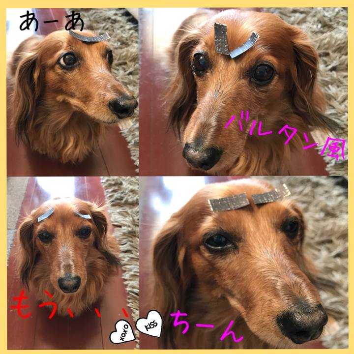 E254db21 9d9a 4c44 9c9e e82a1a636828 1518401709783