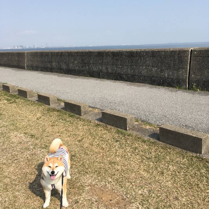 E254ee9c de5e 486d 98fb 70bafc73fe48 1554626145802