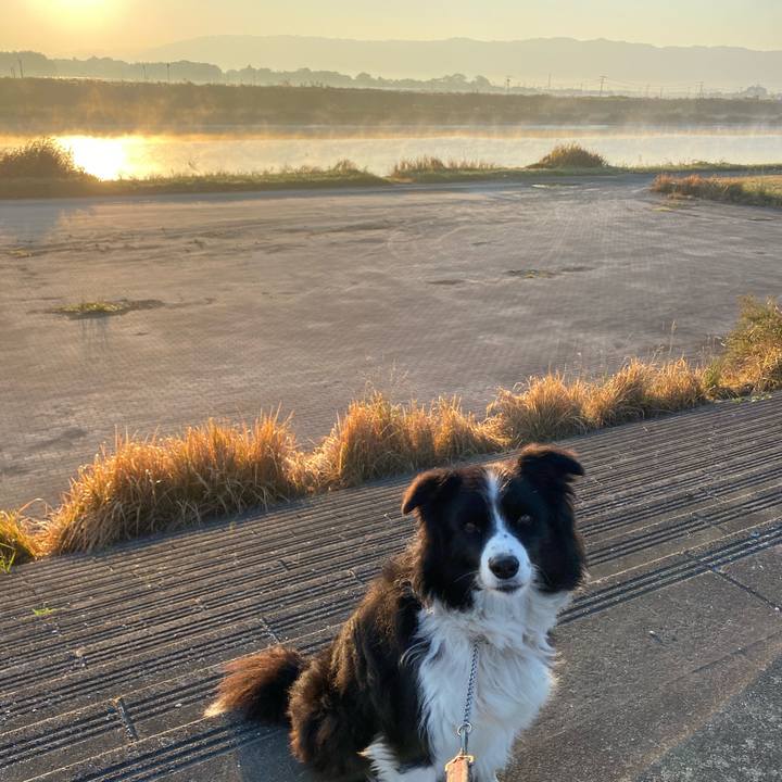 E254f9f3 0cec 4207 9477 f9a61f31ec7d 1605221983684