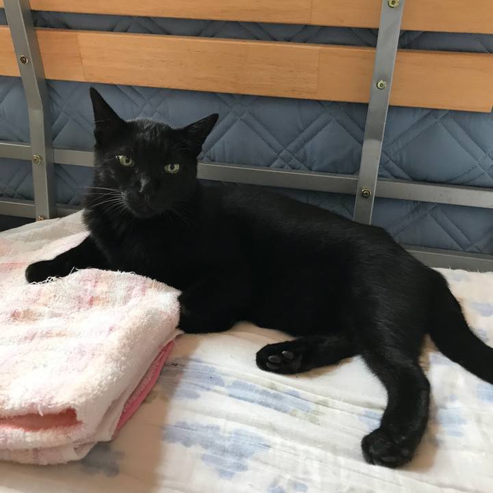 E255034d 22da 461f bb92 667349769c96 1537318821501