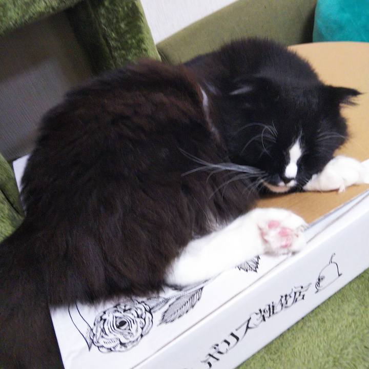 E255249c 0f5b 40be 9d0d 1fc7e38105c1 1654428565373