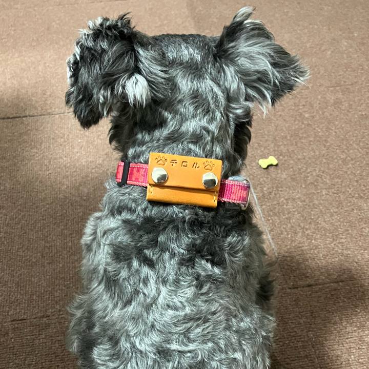 E2552d46 28fc 4970 986d c30487f651c9 1750651979687