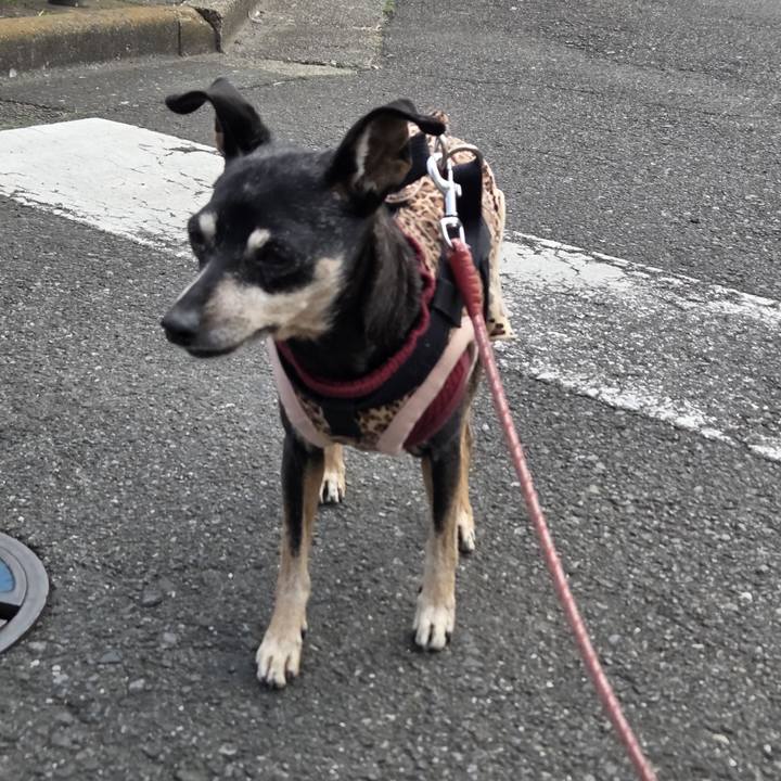 E2555cad f2fc 4ec5 9935 c6598452745e 1773795623294