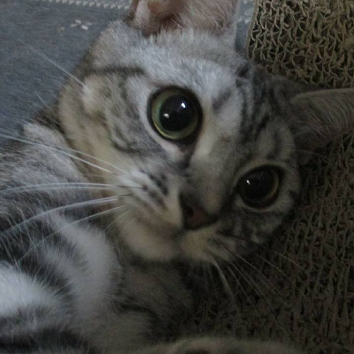 E255643a 9914 42df 9a4d 06f69d3041e6 1563028847306