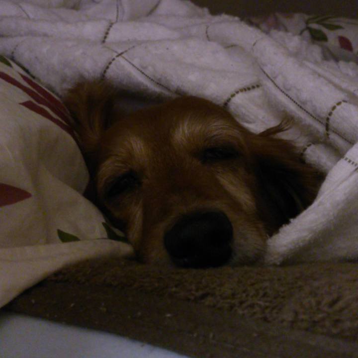 E2557958 38ef 4c70 bdc1 aec5cbd5ac9e 1568053049596