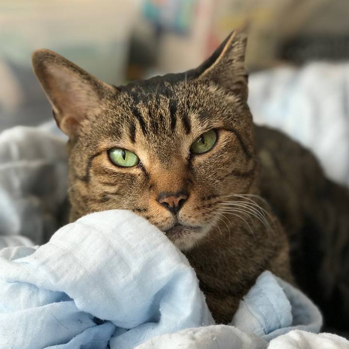 E2558da9 b507 4568 8183 5e6f8afc02ef 1522201219849