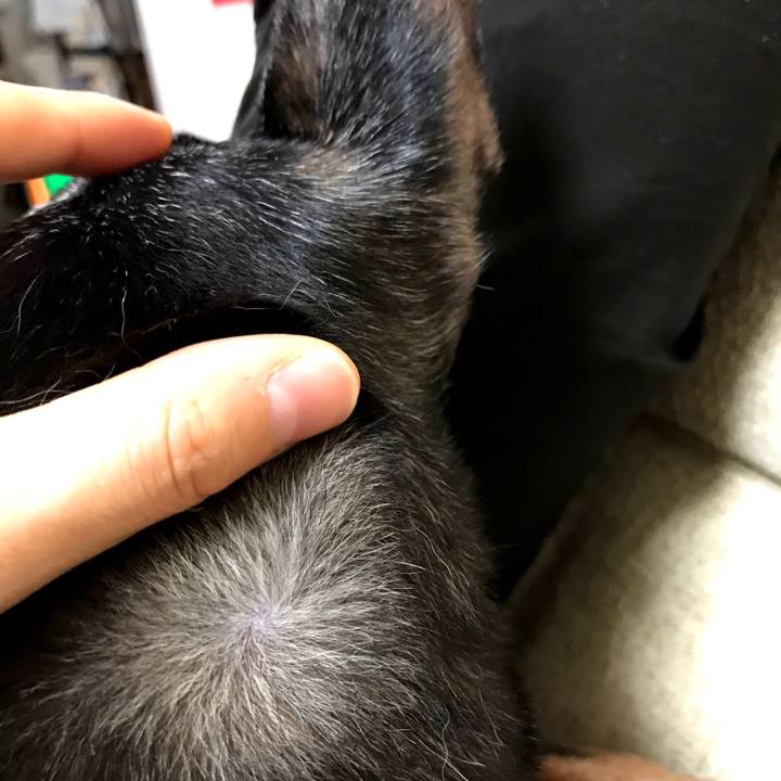 E255db4d c1e0 495b 98db 7b3280d8e111 1570367529333