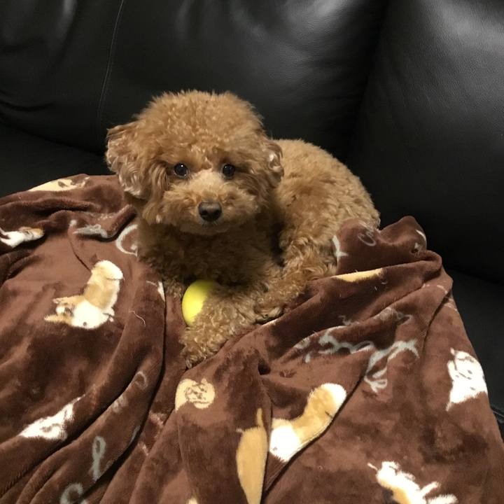 E255fd9c bbad 4a0c a75d 01b0b08bb302 1579185745120